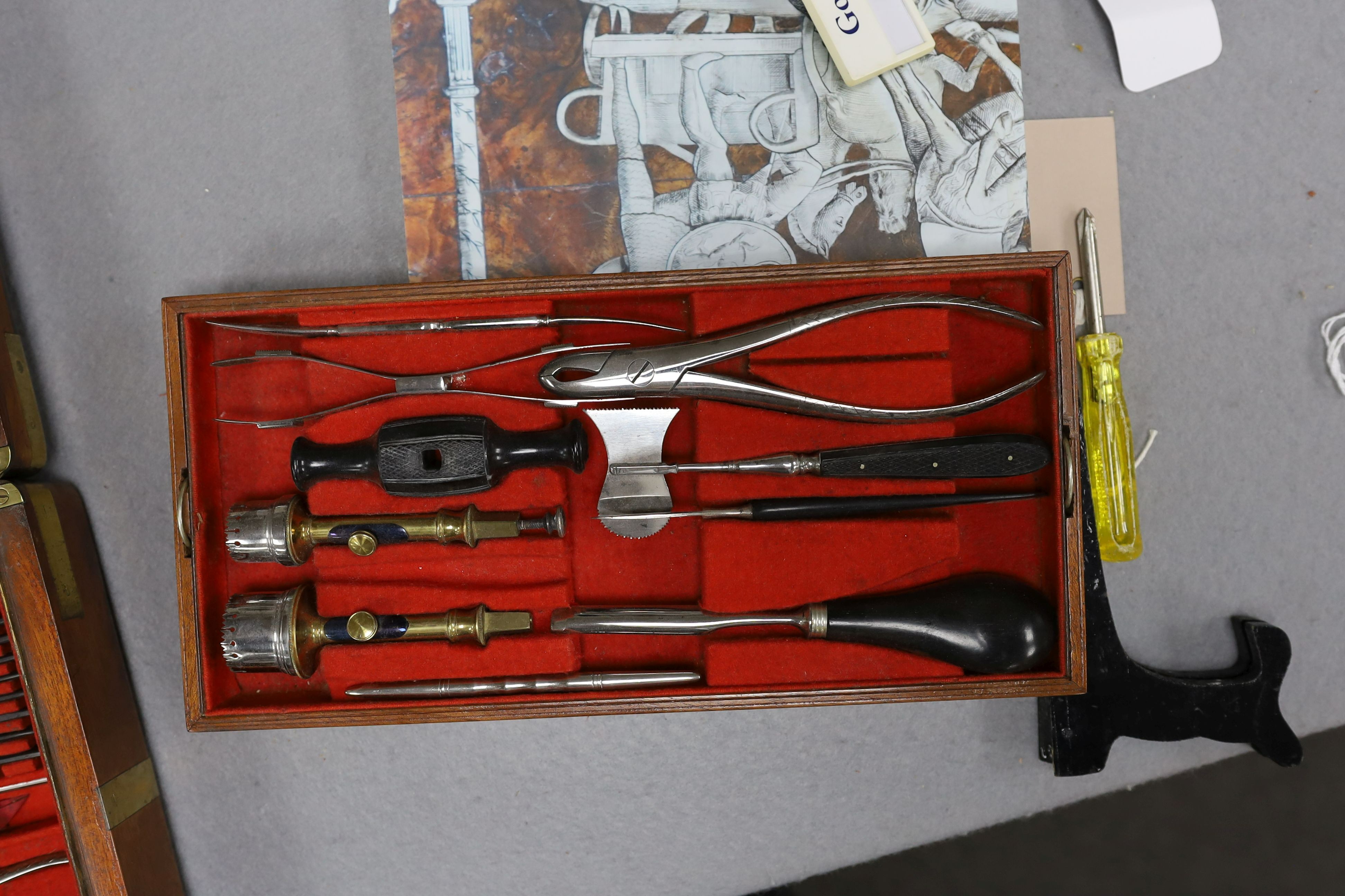 A Victorian mahogany cased field surgeon's set by Salt & Son of Bull Lane, London, 41 x 22cm, 7.5cm high